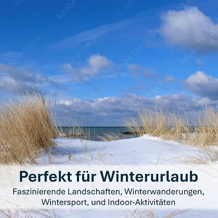 Zinnowitz, Paradies Am Wald - Wg 05 公寓 *