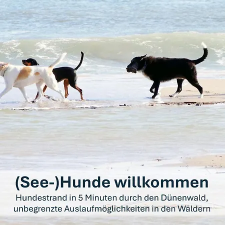 公寓 Zinnowitz, Paradies Am Wald - Wg 05 奥斯特西巴德钦诺维茨