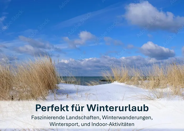 Zinnowitz, Paradies Am Wald - Wg 05 Daire *