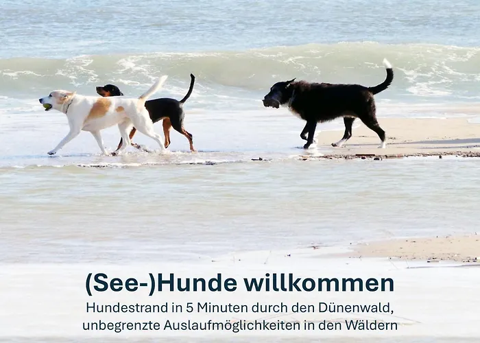 Daire Zinnowitz, Paradies Am Wald - Wg 05 Penzance